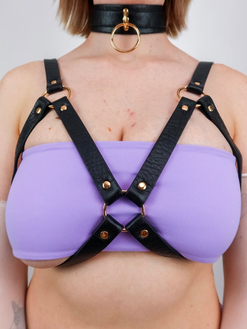 OLD SIZE BELLA CHEST HARNESS