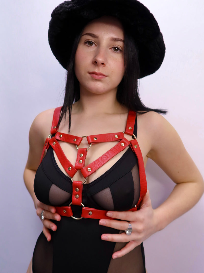OLD SIZE ALEX CHEST HARNESS
